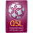20252026-Stars-League